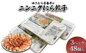 ゆきむら壱番亭のニンニクにら餃子3パック(48個入り)　※離島への配送不可