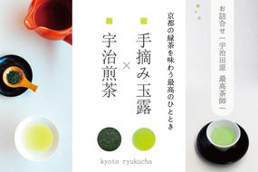 手摘み玉露と宇治煎茶のお詰合せ～宇治田原最高茶師～〈お茶 茶 煎茶 緑茶 茶葉 玉露 手摘み玉露 雁が音 茎茶 詰合せ 最高茶師 大臣賞 飲料 加工食品〉 