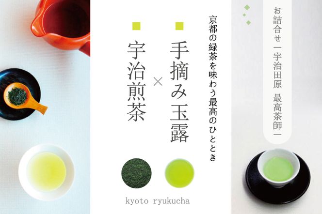 手摘み玉露と宇治煎茶のお詰合せ～宇治田原最高茶師～〈お茶 茶 煎茶 緑茶 茶葉 玉露 手摘み玉露 雁が音 茎茶 詰合せ 最高茶師 大臣賞 飲料 加工食品〉 