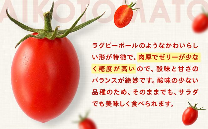 ［2026年6月出荷分］和歌山産ミニトマト「アイコトマト」約1kg（S・Mサイズおまかせ）［TM233］ 303446_XH92279VC06