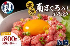 a13-135　ミナミマグロ入り マグロのたたき 100g 小分け パック セット 焼津 海の極 ネギトロ 天然 新鮮 冷凍 ねぎとろ 小分け 800g（100g× 8パック）