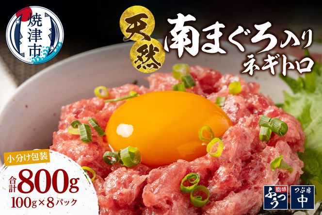 a13-135　ミナミマグロ入り マグロのたたき 100g 小分け パック セット 焼津 海の極 ネギトロ 天然 新鮮 冷凍 ねぎとろ 小分け 800g（100g× 8パック）