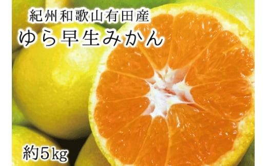 [先行予約]紀州和歌山有田産ゆら早生みかん 5kg ※2026年10月下旬頃〜11月上旬頃順次発送(お届け日指定不可)[uot721]