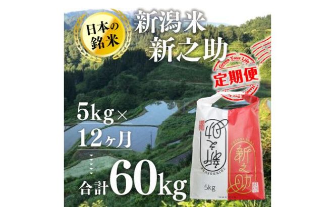 【12カ月定期便】新潟米新之助（精米）5kg お米 コメ 