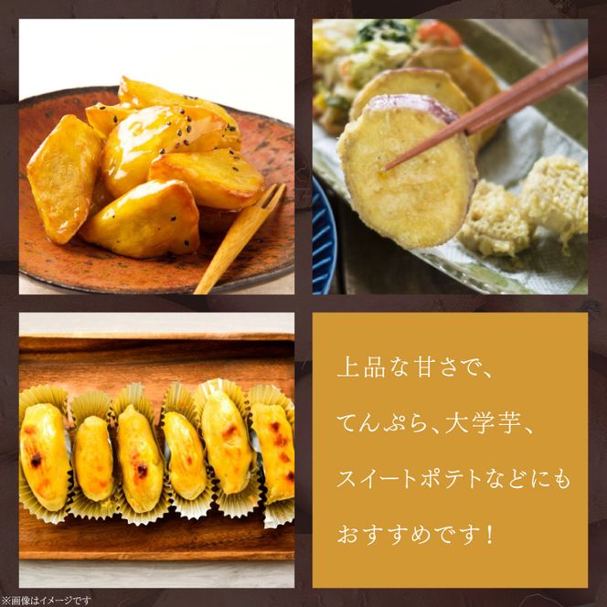 2025年度産 さつまいも 栗かぐや 約10kg｜さつまいも 芋 お芋 栗かぐや 渋谷農園 茨城県 行方市(BZ-51)