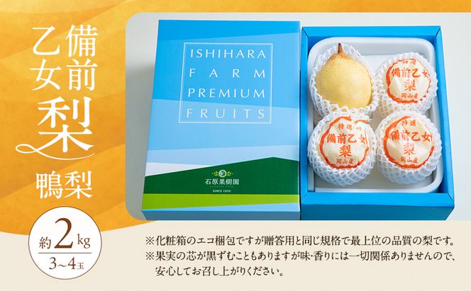 梨 2026年 先行予約 備前乙女梨（鴨梨） 3～4玉 合計約2kg【11月下旬～12月中旬頃発送】 ナシ なし 岡山県産 国産 フルーツ 果物 ギフト 石原果樹園 風味豊か 上品 希少な梨 