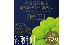 【定期便 全2回】 ぶどう 2026年 先行予約 9月・10月発送 高級品 シャインマスカット 晴王 1房 約700g ブドウ 葡萄 岡山県産 国産 フルーツ 果物 ギフト