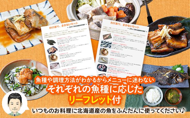 【2026年5月下旬発送】訳あり 北海道のおさかな屋さんの まかないセット 冷凍魚貝 最大4kg 魚 魚介 訳あり