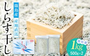 篠島産しらす干し1kg