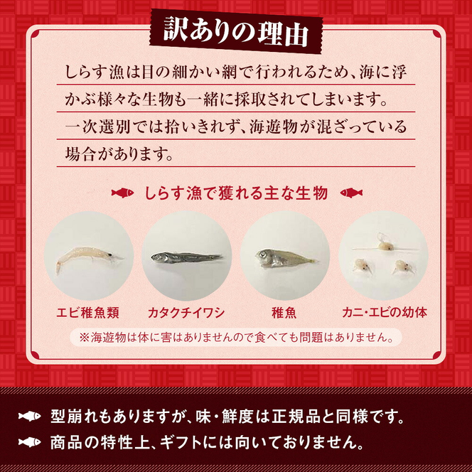 しらす 訳あり 1kg(200g×5P) 小分け しらす干し シラス ごはん おかず チャーハン パスタ 料理 大きめ ランキング こだわり 鮮度 天塩 マル伊商店 愛知県 南知多町