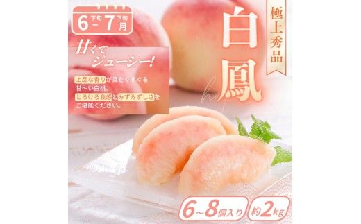 【フルーツ定期便・全6回】品質に自信あり！くしがきの里から直送　厳選した果物を最高のタイミングでお届け♪ / 定期便 桃 もも みかん 柑橘 シャインマスカット マスカット いちご 不知火 はれひめ イチゴ 苺 果物 フルーツ 6回【kgr039】