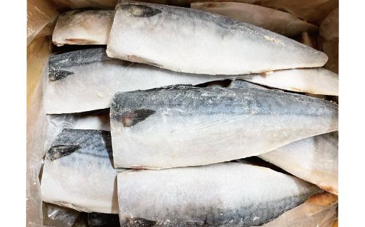 【ご家庭用】大容量！塩さばフィレ 1kg さば サバ 鯖 フィレ 切り身 切身 魚 海鮮 焼き魚 おかず【uot763B】