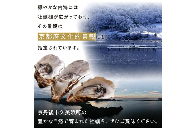 京都久美浜産　殻付き牡蠣3キロ　加熱用 KY00002