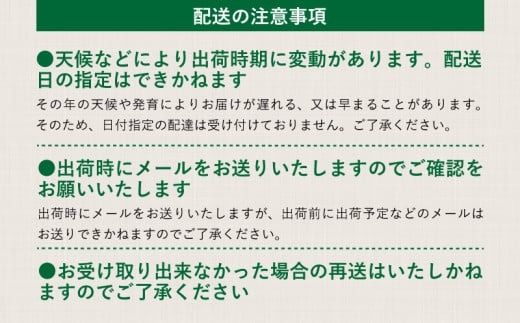 【2026年先行予約】【山梨県都留市ふるさと納税】クール便配送　山梨県産シャインマスカット1.2kg(2～3房)　HD001