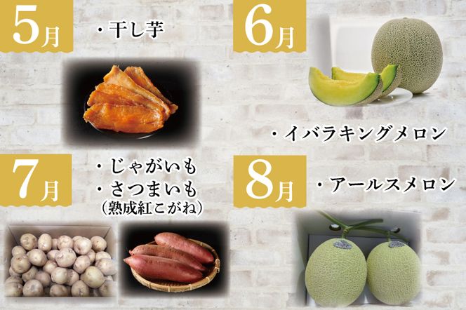 AE-55【12ヶ月定期便】JAが選ぶ！さつまいも好きのための行方まるごと旬鮮便