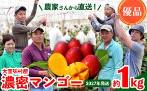 【2027年発送】濃密マンゴー《優品・約1kg》大宜味村農家さんから直送！