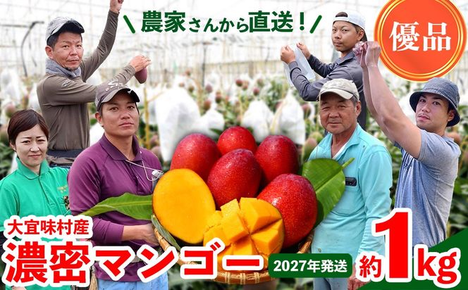【2027年発送】濃密マンゴー《優品・約1kg》大宜味村農家さんから直送！