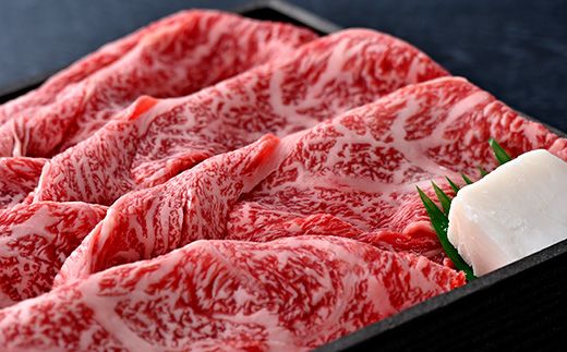 近江牛すき焼き・しゃぶしゃぶ用肩ロース【500g】＋近江牛ハンバーグ×3個【450ｇ（150ｇ×3個）】【AB65W】