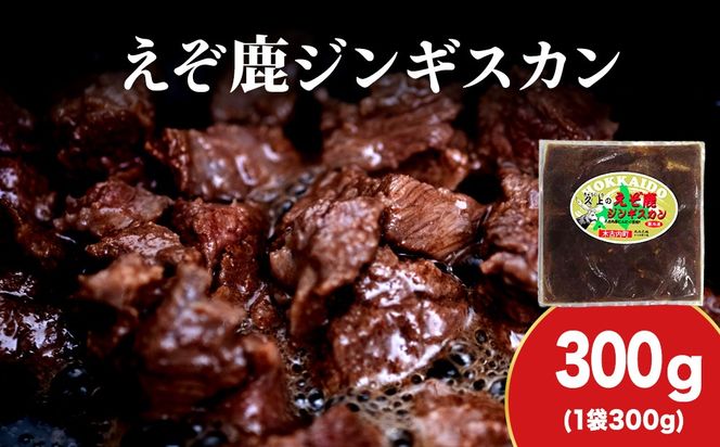 ykC،Ózyv HXzG]WMXJ 300g@1܃Zbg BBQ WrG