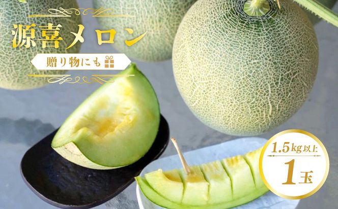 野木源の源喜メロン 1玉入り（2026年7月下旬～発送） ふるさと納税 メロン 果物 フルーツ めろん melon meron 京都 丹後 2026 2026年 農家応援 生産者応援 送料無料　NO00016