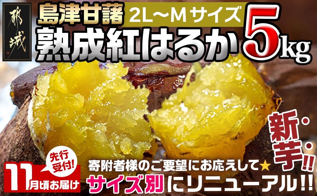 先行受付![11月お届け]島津甘藷 熟成紅はるか 5kg(2L〜M)