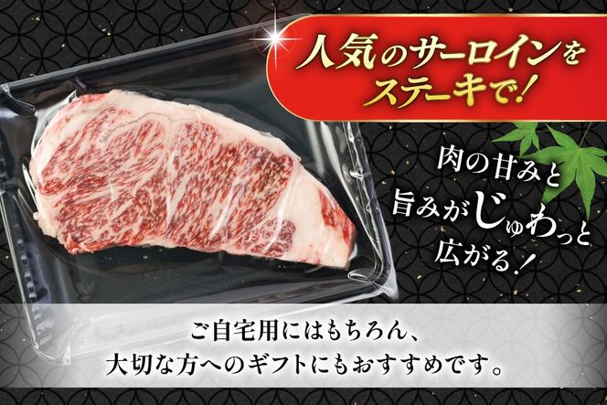 AK024 長崎和牛 サーロイン ステーキ 250g 2パック 計500g [ 牛肉 肉 和牛 ステーキ ロース サーロインステーキ BBQ バーベキュー 焼肉 アウトドア 長崎県 島原市 ]