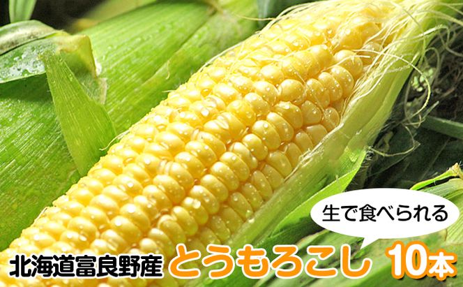 【2026年夏発送】北海道 富良野産 生で食べられる とうもろこし【恵味(めぐみ)】 10本 コーン