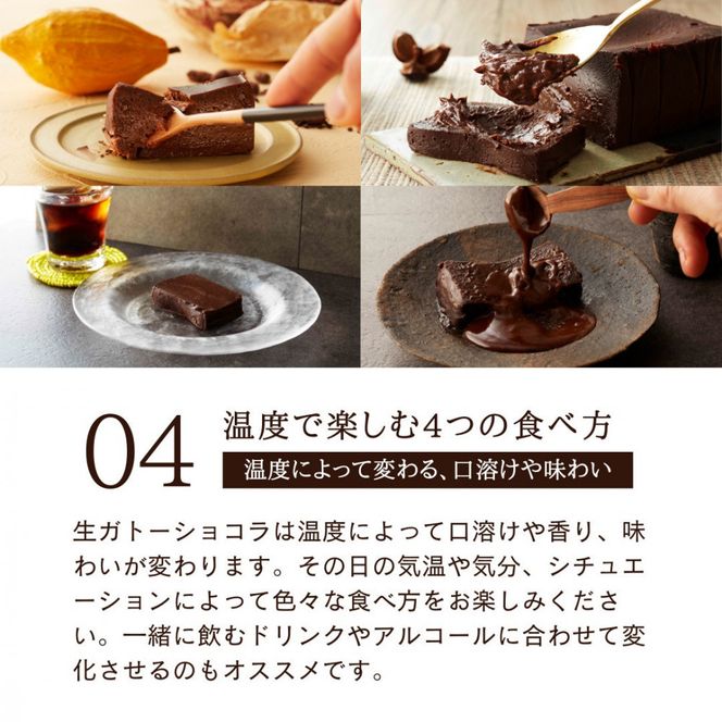 極上の口溶け。幸せの生ガトーショコラ 200g 【 濃厚  極上スイーツ グルテンフリー チョコ ショコラテリーヌ 高品質クーベルチュールチョコレート使用 一流シェフ 神奈川県 小田原市 】 142069_DW018