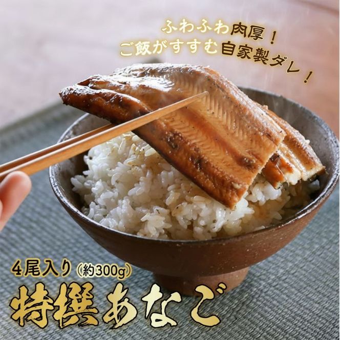 あなご 料理専門店の～ふっくら肉厚～ 特撰【 焼きあなご 4尾入 】