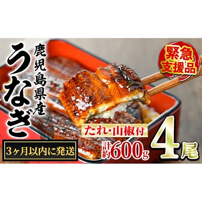 y̑Sǒzy0224337az3ȓɔ\聄ǒ̂Ȃ()(4Ev600gE^ARt) Ȃ  EiM V Y  Ă   ӂ邳 lC yANA݁z