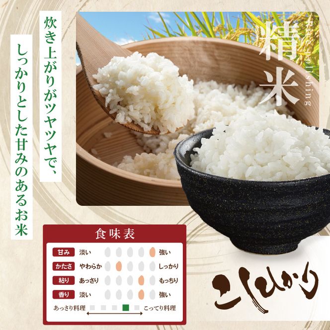 R7年産取手市産コシヒカリ 精米10kg（5kg×2袋）|お米 米 こしひかり コシヒカリ 白米 茨城県 取手市（BS002）