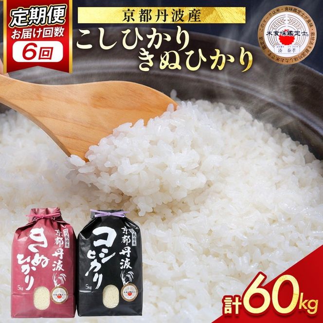 【定期便】米 京都丹波米 10kg(こしひかり5kg・きぬひかり5kg)×6回 計60kg◇◆◇ 6ヶ月 白米 6回定期便 コシヒカリ・キヌヒカリ 各5kg 米 精米したてをお届け ※北海道・沖縄・離島への配送不可
