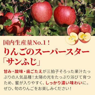 りんご サンふじ 家庭用 小玉 約10kg フルーツ 果物 林檎 甘い 訳あり