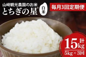 【全3回定期便】＜毎月＞ 山﨑観光農園のお米 とちぎの星 白米 5kg（合計 15kg）単一原料米 100% ｜栃木県 益子町 ふるさと納税 お米 米 白米 精米 5kg 3ヵ月 令和7年産 定期便（AU035）