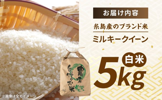 【令和8年産】 ミルキークイーン 白米 5kg 糸島市産 糸島市 / 糸島の恵み コメ こめ ご飯[AGR022]