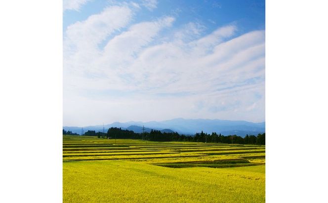 【通年受付】≪令和8年産≫ 農家直送！魚沼産コシヒカリ特別栽培「白羽毛の米」精米 (300g×10袋) 3kg