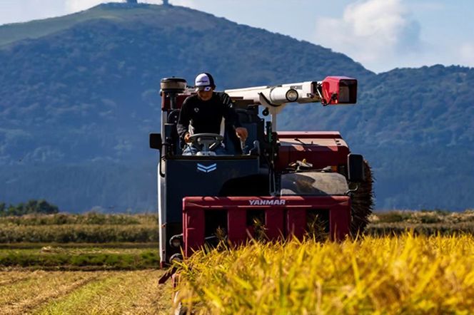 米 【定期便3ヶ月】令和7年産 あきたこまち 精米 10kg（5kg×2袋）3ヶ月連続発送（合計 30kg）秋田県 男鹿市|23_kmn-011003
