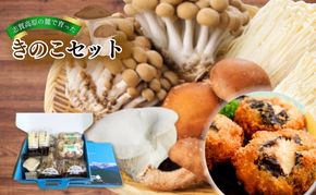 【2026年発送】志賀高原の麓で育った きのこセット きのこ 詰め合わせ セット えのき ぶなしめじ しいたけ 長野