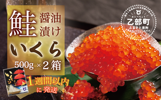 [数量限定]鮮度にこだわった[笹谷商店 いくら 2パック(500g×2)1kg]絶品の醤油タレで漬けたいくら(検索:いくら イクラ 鮭いくら 鮭イクラ 醤油いくら 醤油イクラ いくら丼 いくら醤油漬け イクラ醤油漬け 秋鮭 国産 北海道産 北海道乙部町 日本海 冷凍 人気 訳あり 定額減税 使い道 ふるさと納税)