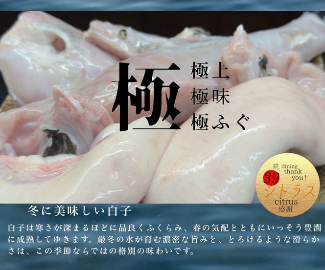 名物！南あわじ産 三年とらふぐ × 糀料理の贅沢ディナーコース（2名様分）にも使える お食事券 3000円×6枚  	FC03