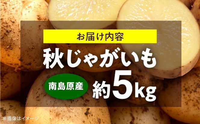 じゃがいも 約5kg 馬鈴薯 秋じゃが / ジャガイモ ばれいしょ 野菜 やさい 芋 / 南島原市 / 株式会社松尾青果[SGU003]