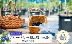 159-3168-02　【2027年5月上旬～7月上旬発送予定】【予約チケット】ブルーベリー摘み取り体験（60分食べ放題）小児（小学生以上）1名様分【 神奈川県 大磯町 】