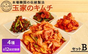 【全12回定期便】玉家 の キムチ セット B ( 白菜 / 葱 / 胡瓜 / 大根 )糸島市 / 玉家のキムチ工房【いとしまごころ】 [AAE013]