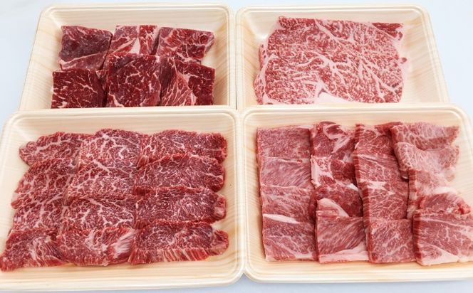 井上牧場 朝倉和牛　BBQセット ※配送不可：離島 お肉 牛肉 焼肉 バーベキュー ステーキ 