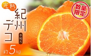 果肉プリプリ♪　完熟紀州デコ(不知火) 約5kg　※2027年2月下旬頃〜2027年3月中旬頃発送【uot707A】