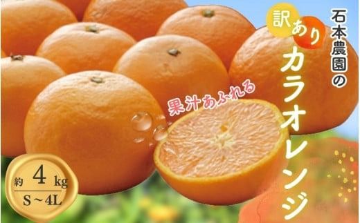 みかん オレンジ 訳あり S-4L サイズおまかせ 石本農園のカラオレンジ 4kg [2026年4月初旬から下旬までに順次発送] / みかん ミカン 蜜柑 カラオレンジ 訳あり おまかせ[mis015A]