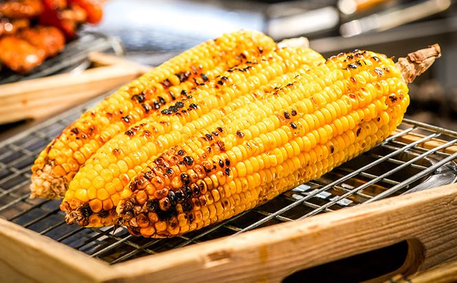 【2026年発送】富良野産 とうもろこし ゴールドラッシュ 約10本 コーン とうきび トウモロコシ 2Lサイズ 野菜 甘い BBQ 北海道 富良野 ふらの