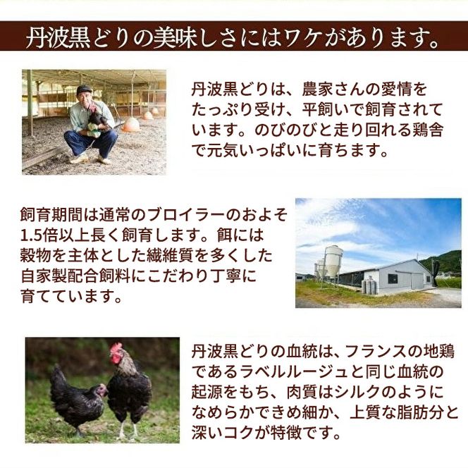 地鶏 丹波 黒どり 手羽元 4kg 鶏肉 冷凍 鍋 丹波山本 ヘルシー ボリューム 鳥 鶏おでん スープ お肉 ブランド鶏 上質 脂 旨み 鍋料理 煮物 揚げ物 BBQ 