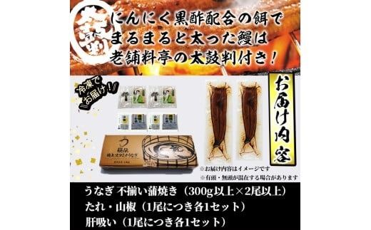 【訳あり】鹿児島県産！秘伝のスタミナうなぎ蒲焼き＜計300g以上/2尾以上＞肝吸いセット！ にんにく黒酢パワーで丸々太った美味しい鰻！a5-350