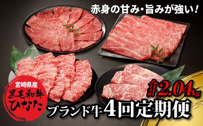 y{茧؏钬z4 {茧Y uhuјaЂȂv K34_T002_1